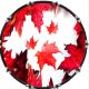 Canadian Patriot 1
