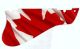 Canadian Patriot 3