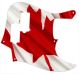Canadian Patriot 3