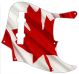 Canadian Patriot 3