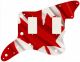 Canadian Patriot 3