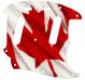 Canadian Patriot 3