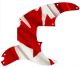Canadian Patriot 3