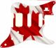 Canadian Patriot 3