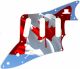 Canadian Patriot 4