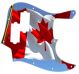 Canadian Patriot 4