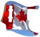 Canadian Patriot 4