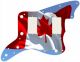 Canadian Patriot 4
