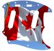 Canadian Patriot 4