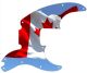 Canadian Patriot 4