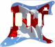 Canadian Patriot 4