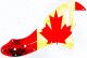 Canadian Patriot Flag 2