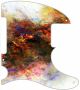 Canvas Splat - Tele Esquire