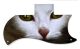 Cat 1