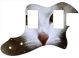 Cat 1