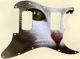 Cat 1