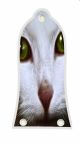 Cat 1