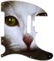 Cat 1 - American Elite Tele