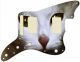 Cat 1