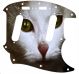 Cat 1