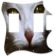 Cat 1