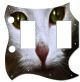 Cat 1