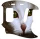 Cat 1