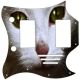 Cat 1
