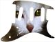Cat 1