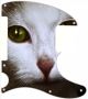 Cat 1 - Avril Lavigne Tele