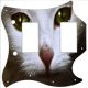 Cat 1