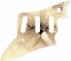 Cat 2