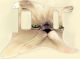 Cat 2