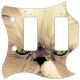 Cat 2