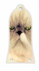 Cat 2