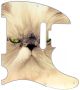 Cat 2 - American Elite Tele