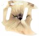 Cat 2