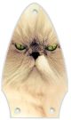 Cat 2