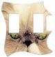Cat 2
