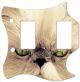 Cat 2