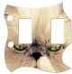 Cat 2