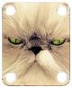 Cat 2