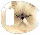 Cat 2