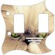 Cat 2