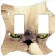 Cat 2