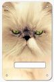 Cat 2