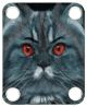 Cat 4