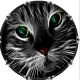 Cat 5