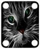 Cat 5