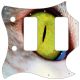 Cat Eye